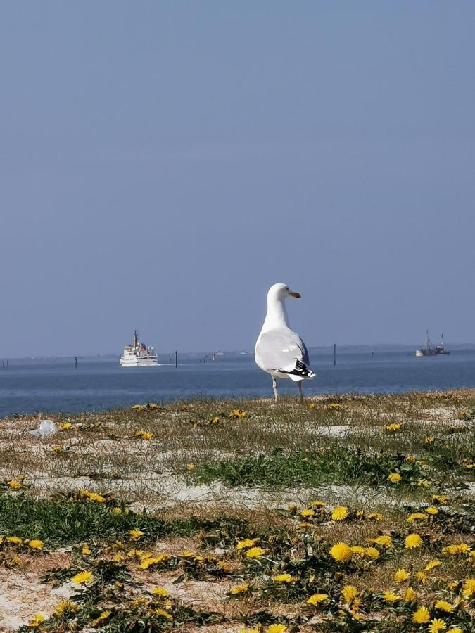 Kleinaberfein An Der Nordseekueste Schweindorf Экстерьер фото