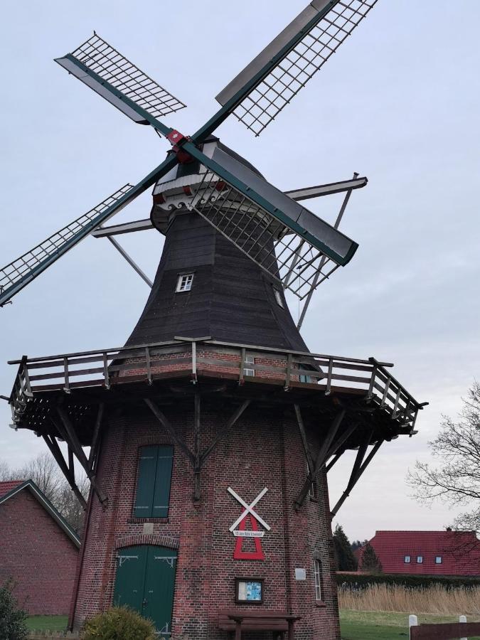 Kleinaberfein An Der Nordseekueste Schweindorf Экстерьер фото